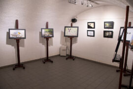 Exposition personnelle de Christophe Mollet au caveau des artistes