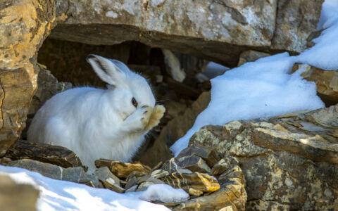 Edition 2019 - Bernard Pons