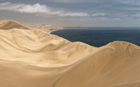 Edition 2019 - Patrice Durand