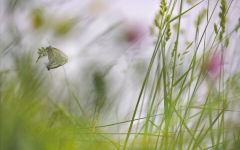 Edition 2019 - Philippe Klein