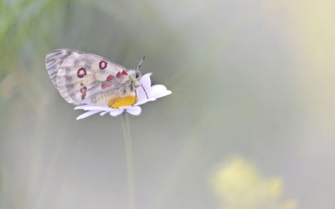 Edition 2019 - Philippe Klein