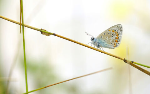 Edition 2019 - Philippe Klein