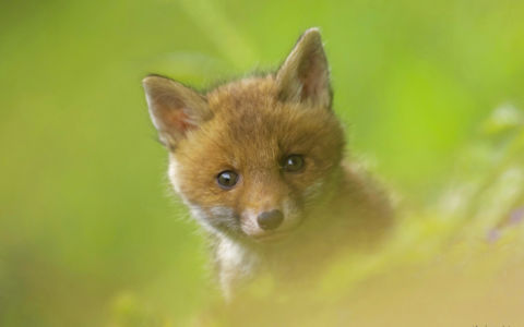 Edition 2019 - Séverin Rochet