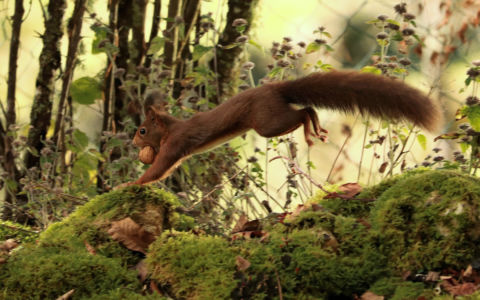 Edition 2019 - Hugo P.