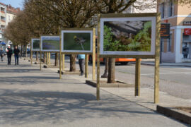 En face des chalets, des photos du Haut Jura