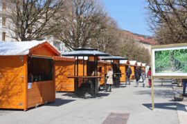 Le marché producteurs du Parc