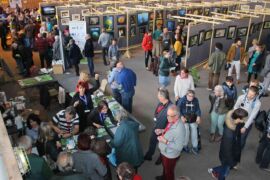 Du monde dans les allées