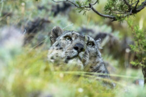 FINA 2023<br>Invité d'honneur : Frédéric Larrey