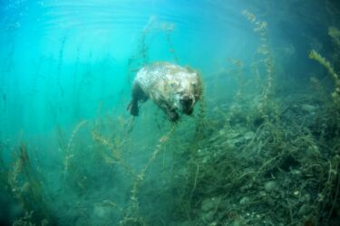 <span style="color: var(--ast-global-color-0);" class="stk-highlight">5-6-7 avril 2024</span><br><a href="https://www.fina-hautjura.fr/edition-2024/edition-2024-invite-dhonneur-remi-masson/">Rémi Masson invité d'honneur</a>