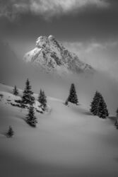 Ski rando - Tête de Bostan à , , Samoëns, Haute-Savoie, France, le 05 March  2017. Photo © David Casartelli